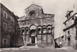 Termoli Basilica Cattedrale - Andere & Zonder Classificatie