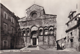 Termoli Basilica Cattedrale - Otros & Sin Clasificación