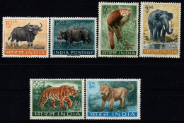 1962 India, Animali Della Foresta, Serie Complete Nuova (**) - Nuevos