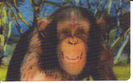 Carte Collector Animée Animaux (Cora / Match) : 2/44  : Chimpanzé - Autres & Non Classés