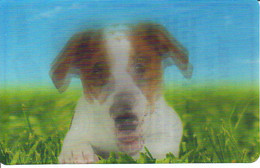 Carte Collector Animée Animaux (Cora / Match) : 14/44  : Jack Russell - Other & Unclassified