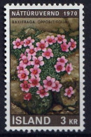 ISLANDE - Année De Conservation De La Nature, Lakagigar - N° 400 - 1970 - MNH - Unused Stamps