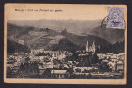 DDEE 895 --  CANTONS DE L'EST -  Carte-Vue TP Albert Surchargé MALMEDY - MALMEDY 1920 à UCCLE - OC55/105 Eupen & Malmédy