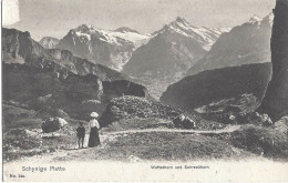 Schynige Platte Wetterhorn Und Schreckhorn Belebt - Wilderswil