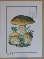 Petit Calendrier De Poche 1990 Champignon Cèpe De Bordeaux Pharmacie Chemillé Maine Et Loire - Small : 1981-90