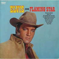 ELVIS  PRESLEY    °°   FLAMING STAR - Other - English Music