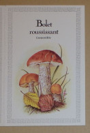 Petit Calendrier De Poche 1983 Champignon Bolet Roussissant  Pharmacie Evreux Eure  Création Engelhard Angouleme - Small : 1981-90