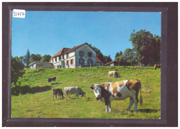 FORMAT 10x15cm - DISTRICT DE GRANDSON - SAINTE CROIX - RESTAURANT DU MONT DE BAULMES - TB - Baulmes