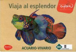 Lote PEP689, Colombia, Postal, Postcard, Medellin, Parque Explora, Acuario-Vivario, Fish, Aquarium - Venezuela