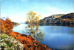 4-11-2023 (1 V 20) UK - Loch Ness - Inverness-shire