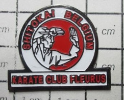 1215B Pin's Pins / Beau Et Rare / THEME : SPORTS / JUDO KARATE SHUTOKAI FLEURUS Région Wallonne Province De Hainaut - Judo