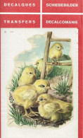 DECALQUES, TRANFERS, DECALCOMANIE Cadox Avec Motif: POUSSINS N° 7327 - Autres & Non Classés