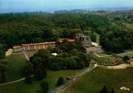 95 ST MARTIN DU TERTRE LE CHATEAU VUE AERIENNE - Saint-Martin-du-Tertre