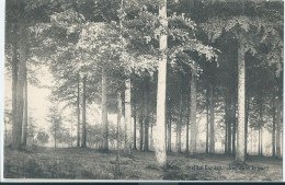 Melle - Institut Caritas - Vue Dans Le Parc  - Melle