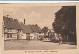 Bischwiller Route D'Oberhoffen ( Editeur Bertrand ) - Bischwiller