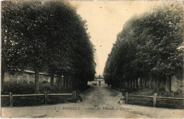 CPA Bonneuil Avenue Des Tilleuils Et Chateau FRANCE (1338057) - Bonneuil Sur Marne