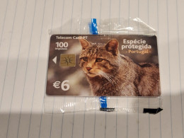 PORTUGAL-(PT357)-Fauna-Gato Bravo-(25)(100units-6€)(1.6.02)(tirage-60.000)(29090D7)-NEW CARD+1card Prepiad Free - Portugal