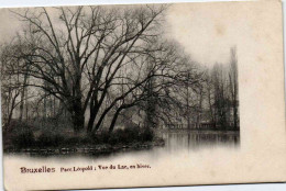 Bruxelles - Parc Léopold Vue Du Lac En Hiver - Etterbeek