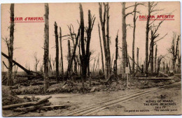 Ruines De Kemmel - Le Point Du Suicide (Elixir D'Anvers) - Hooglede