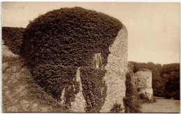 Kasteel Van Gaesbeek - Ontmantelde Toren - Lennik