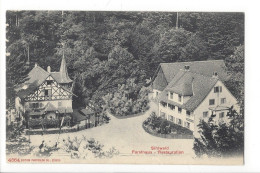 31742 - Sihlwald Forsthaus Restauration - Wald