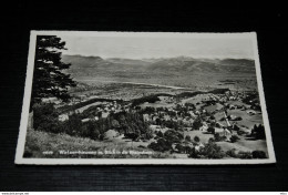 A9553        WALZENHAUSEN MIT BLICK IN DIE RHEINEBENE - 1948 - Walzenhausen