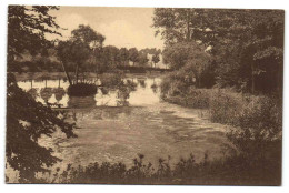 Gaesbeek - Le Grand étang Dit L'étang Tortu - Lennik