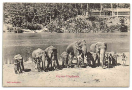 Ceylon - Elephants - Sri Lanka (Ceylon)