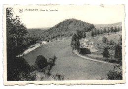 Herbeumont - Route De Florenville - Herbeumont