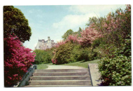 Biltmore House Asheville North Carolina - Bournemouth (fino Al 1972)