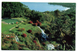 Jamaica - The Quiet Tropicel Gardens Of Jamaica's  North Shore Near Ocho Rios - Jamaïque