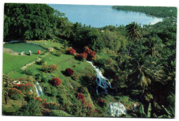 Jamaica - The Quiet Tropicel Gardens Of Jamaica's  North Shore Near Ocho Rios - Jamaïque