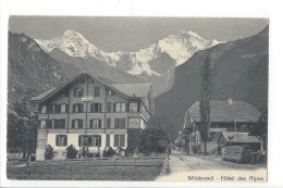 31745 - Wilderswil Hôtel Des Alpes - Wilderswil