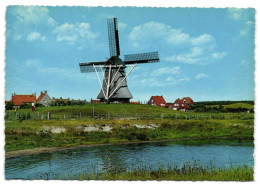 Ameland - Molen -De Phenix- - Ameland