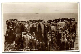 Pinnacle Rocks Farne Islands - Other & Unclassified