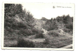 Gistoux - Dans Les Bruyères - Chaumont-Gistoux