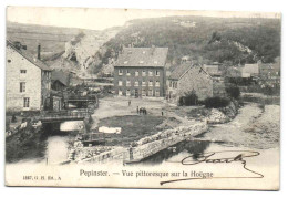 Pepinster - Vue Pittoresque Sur La Hoëgne (Edit. G. Hermans) - Pepinster