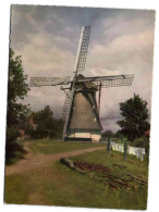 Korenmolen De Hoop Te Lunteren - Ede