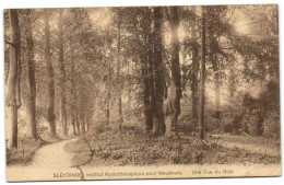 Sleydinge - Institut Hydrothérapique Pour Messieurs - Une Vue Du Bois - Evergem