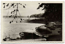 La Flotille Des Hydroglisseurs Sur Le Lac De Virelles-lez-Chimay - Chimay