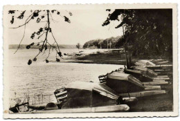 Le Lac De Virelles-lez-Chimay Et Son île - La Flottille Des Hydrglisseurs - Chimay