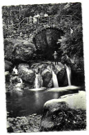 Petite Suisse Luxembourgeoise - La Pittoresque Du Schiessentümpel Au Mullerthal - Müllerthal