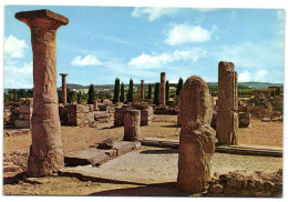 Ruinas De Ampurias - La Escala - Gerona