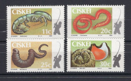 Ciskei Serie 4v 1984 Fishing Bait Worm Prawn Flyfishing MNH - Ciskei