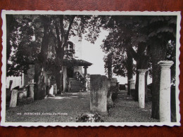 SUISSE - AVENCHES - Entrée Du Musée. (CPSM) - Avenches