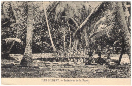 Océanie - Kiribati - Iles Gilbert - Intérieur De La Forêt - Carte Postale Vierge - Kiribati