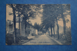 Paliseul 1908: Route De Maissin - Paliseul