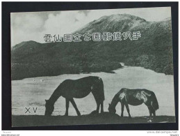 Japan Japon Nippon 1953 UNZEN PARC  Protection Pour Le Feuillet, Protective Cover For The Sheet Yv 39 - Blocks & Sheetlets