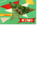 Buvard Kiwi Cirage - Limpieza