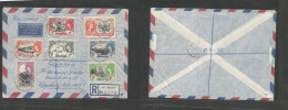 Bc - St. Helena. 1962 (28 Febr) GPO - Germany, Hamburg (17 March) Registered QEII Multifkd Air Envelope Values To 1sh. V - Otros & Sin Clasificación